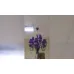 Beby Group Люстра Beby 7700/084076SW