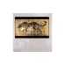 Картина Giorgio Collection Accessories stk4694-TIGER