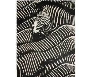 Ковер Sahrai Zebra 360Cm X 280Cm shr151