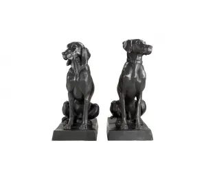 Статуэтка Dogs Pointer & Hound 109329 Eichholtz idc19711