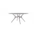 Стол Обеденный Branch Table Cappellini